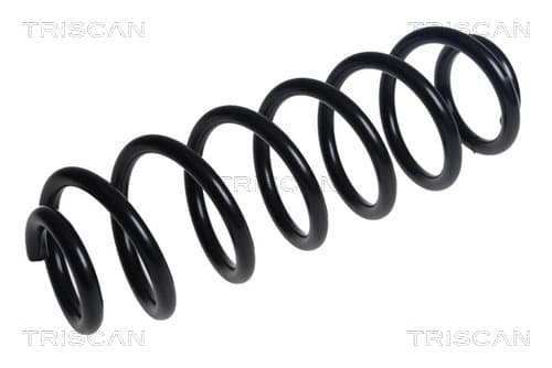 Spiralfjäder bak från TRISCAN
