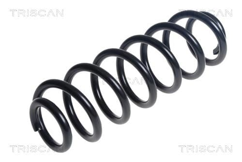 Spiralfjäder bak från TRISCAN