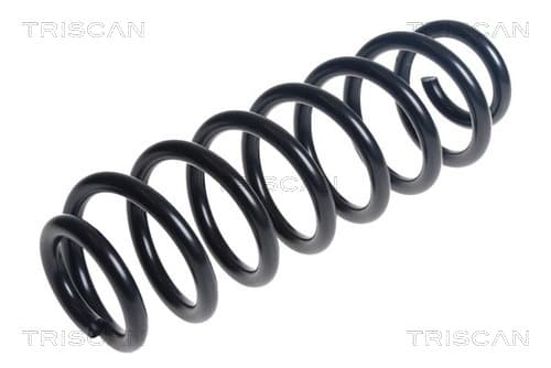Spiralfjäder bak från TRISCAN