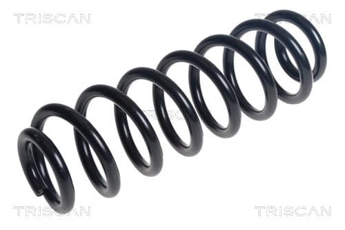 Spiralfjäder bak från TRISCAN