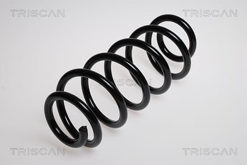 Spiralfjäder fram från TRISCAN