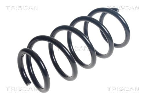 Spiralfjäder fram från TRISCAN