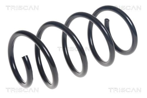 Spiralfjäder fram från TRISCAN