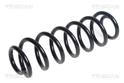 Spiralfjäder bak från TRISCAN