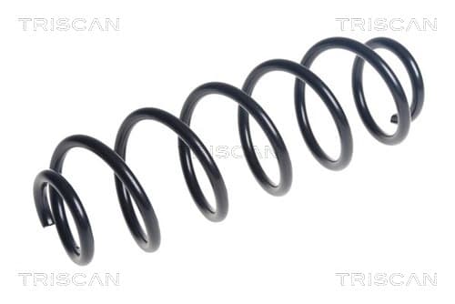 Spiralfjäder bak från TRISCAN