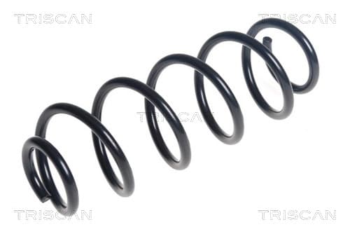 Spiralfjäder bak från TRISCAN