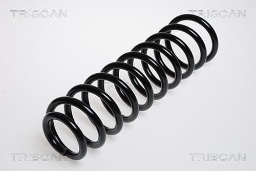 Spiralfjäder bak från TRISCAN