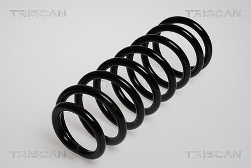 Spiralfjäder bak från TRISCAN