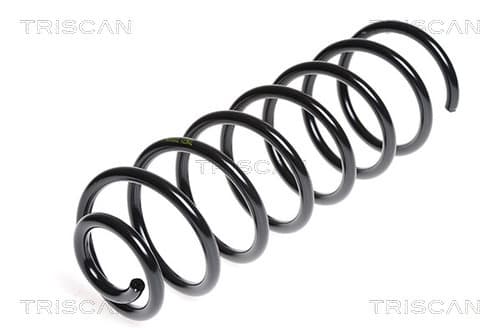 Spiralfjäder bak från TRISCAN