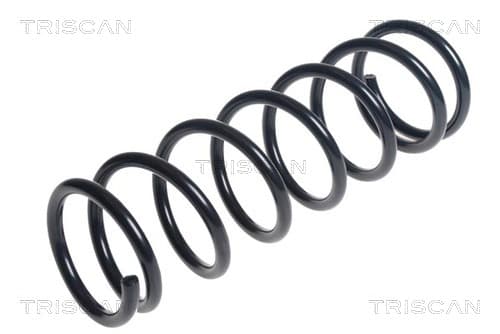 Spiralfjäder bak
