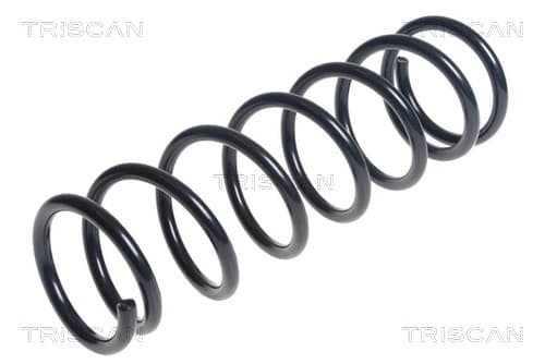 Spiralfjäder bak
