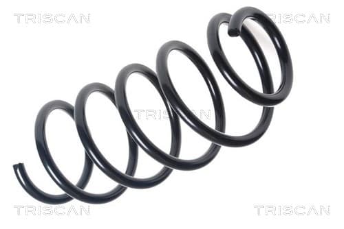 Spiralfjäder fram från TRISCAN