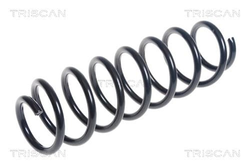 Spiralfjäder bak