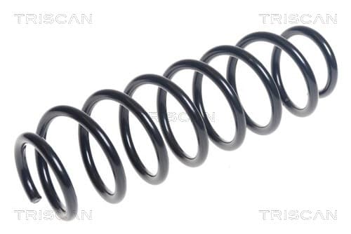Spiralfjäder bak