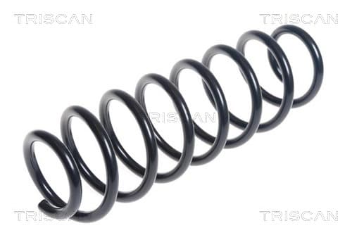 Spiralfjäder bak