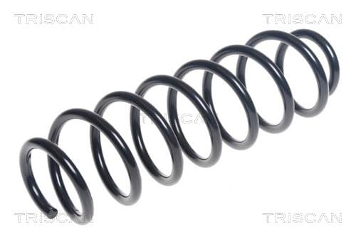 Spiralfjäder bak från TRISCAN