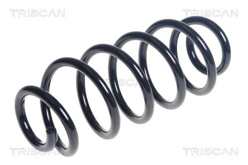 Spiralfjäder bak