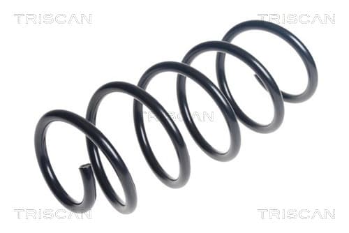 Spiralfjäder fram från TRISCAN