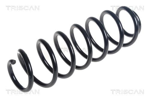 Spiralfjäder bak