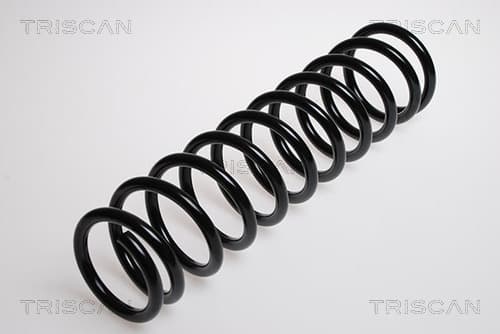 Spiralfjäder bak