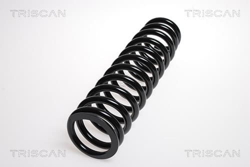 Spiralfjäder fram från TRISCAN