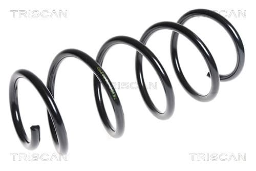 Spiralfjäder fram från TRISCAN