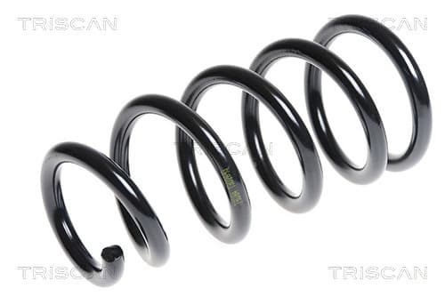 Spiralfjäder bak från TRISCAN