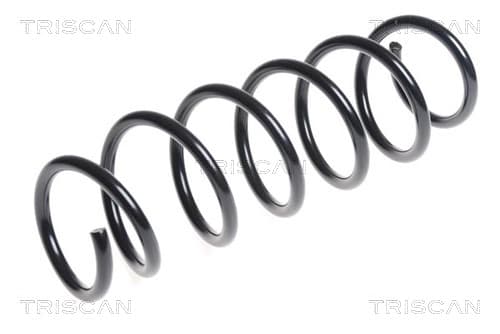 Spiralfjäder fram — framaxel från TRISCAN