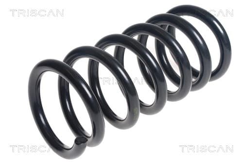 Spiralfjäder bak — Bakaxel från TRISCAN