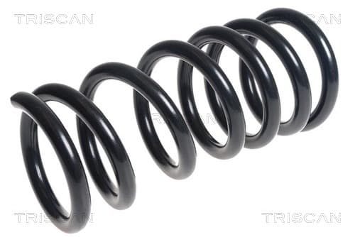 Spiralfjäder bak från TRISCAN