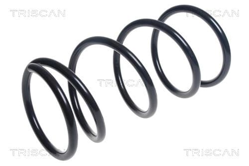 Spiralfjäder fram från TRISCAN