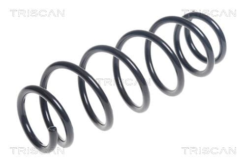 Spiralfjäder fram från TRISCAN