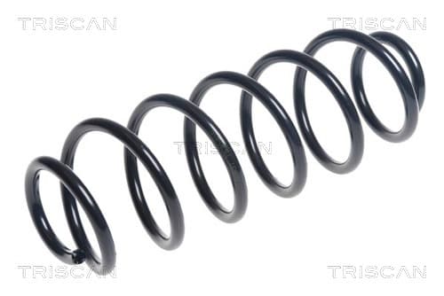 Spiralfjäder bak från TRISCAN