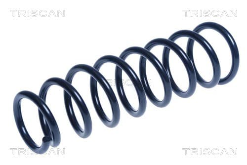 Spiralfjäder bak — Bakaxel från TRISCAN