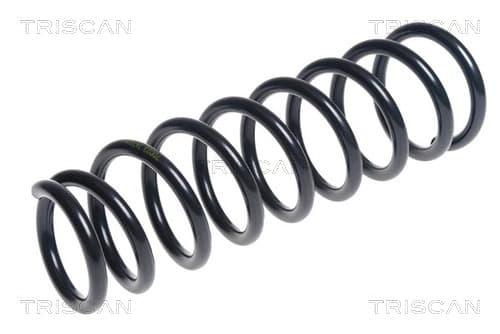 Spiralfjäder bak — Bakaxel från TRISCAN