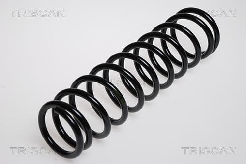Spiralfjäder bak från TRISCAN
