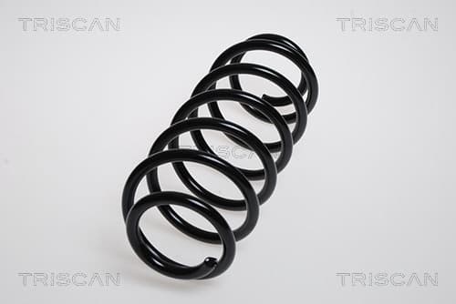 Spiralfjäder bak från TRISCAN