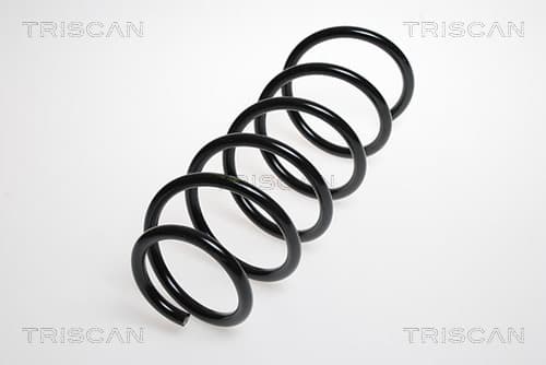 Spiralfjäder fram från TRISCAN