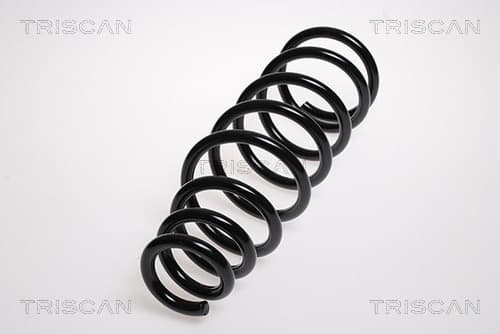 Spiralfjäder fram — framaxel från TRISCAN
