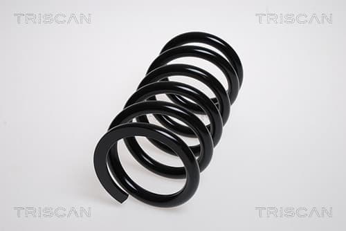 Spiralfjäder bak — Bakaxel från TRISCAN