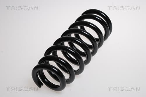 Spiralfjäder fram från TRISCAN