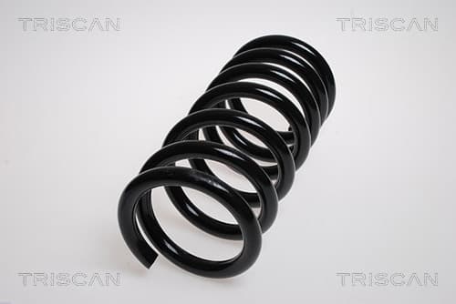 Spiralfjäder bak från TRISCAN