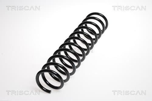 Spiralfjäder bak från TRISCAN