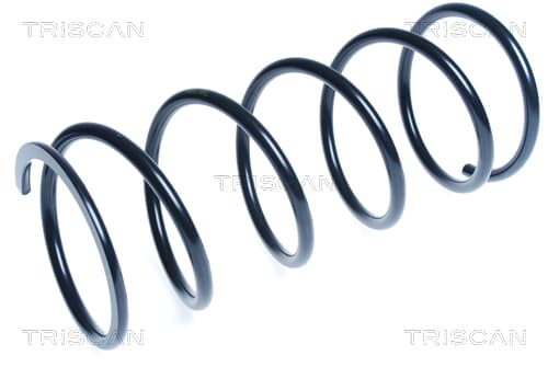 Spiralfjäder bak från TRISCAN
