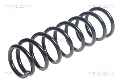 Spiralfjäder bak — Bakaxel från TRISCAN