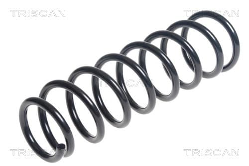 Spiralfjäder bak — Bakaxel från TRISCAN