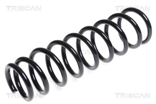 Spiralfjäder bak från TRISCAN