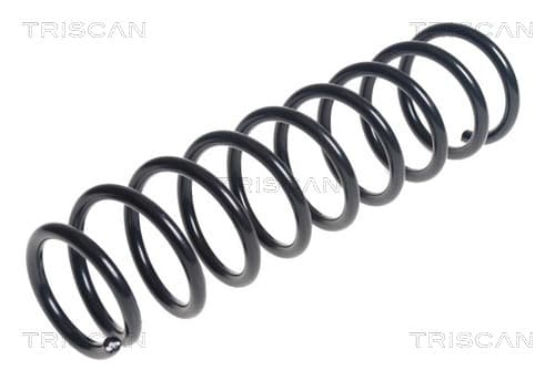 Spiralfjäder bak från TRISCAN