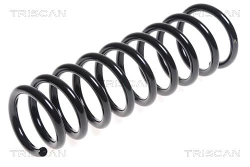 Spiralfjäder bak från TRISCAN