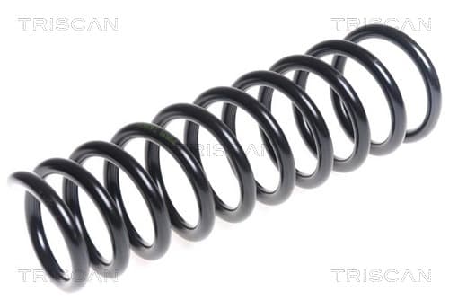 Spiralfjäder bak från TRISCAN
